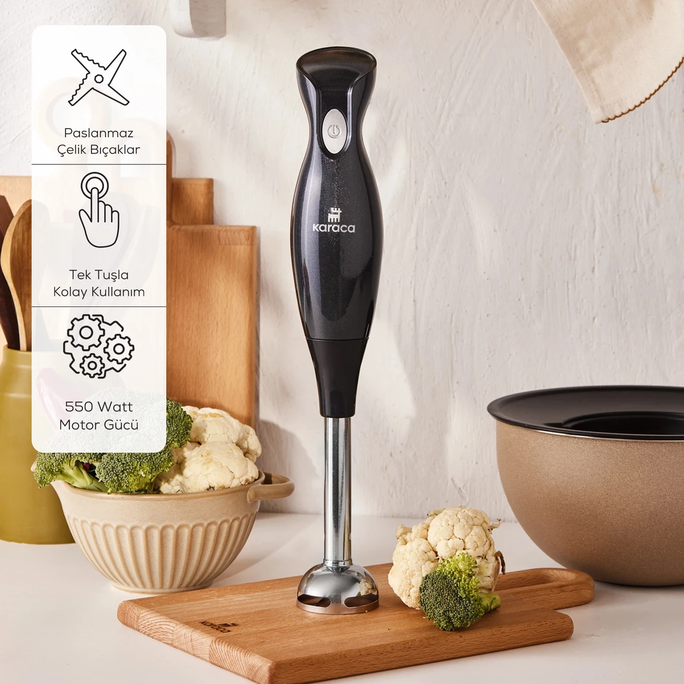 [153.03.08.4734] KARACA SHINY BLACK HAND BLENDER